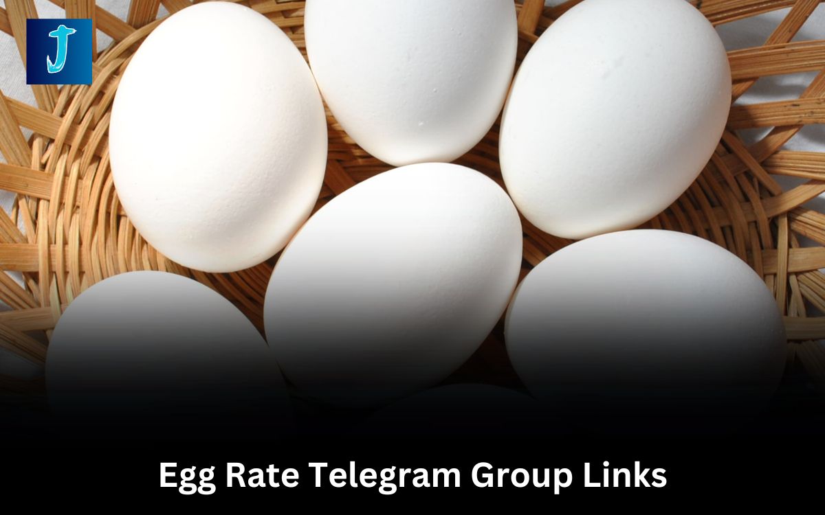 Egg Rate Telegram Group Links